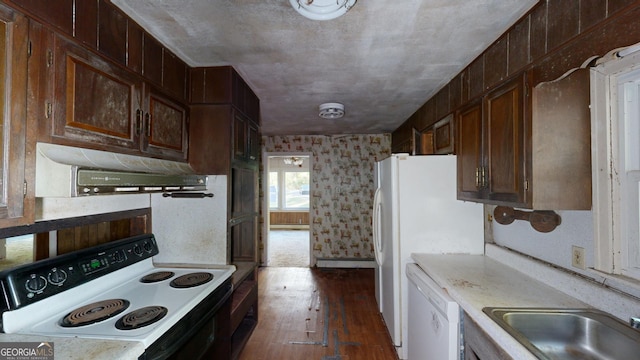 kitchen with a baseboard radiator, dishwasher, black / electric stove, dark hardwood / wood-style flooring, and sink