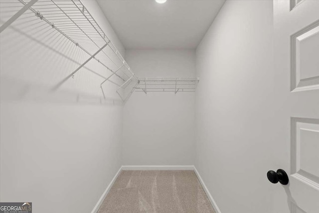 walk in closet with carpet