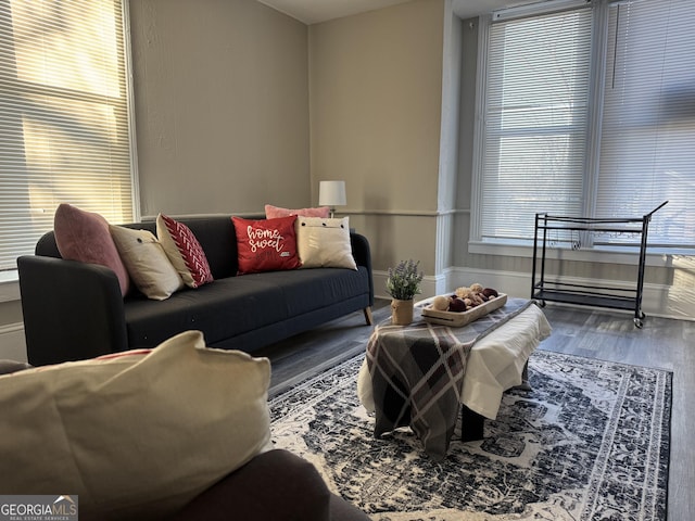 living room with hardwood / wood-style floors