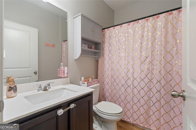 bathroom featuring toilet, vanity, wood-type flooring, and a shower with curtain