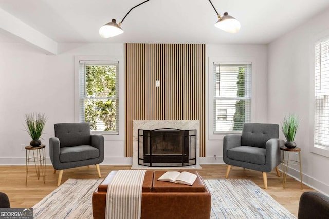 sitting room with light hardwood / wood-style floors, a healthy amount of sunlight, and a fireplace