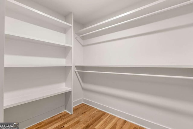 spacious closet featuring hardwood / wood-style flooring