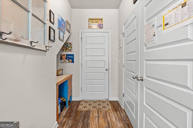 doorway to outside featuring dark wood-type flooring