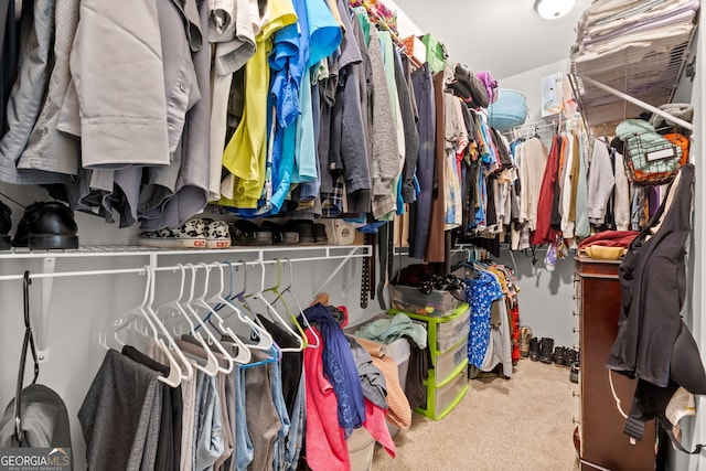 spacious closet featuring carpet floors