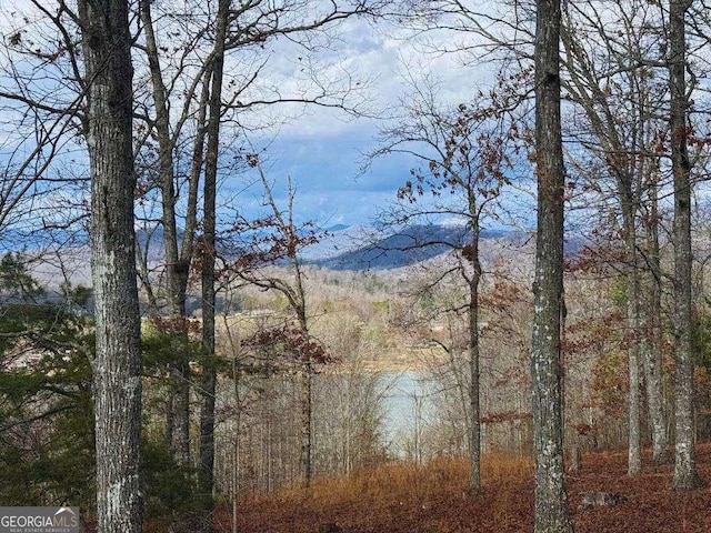 Listing photo 2 for LOT8 Drake Rdg, Hayesville NC 28904