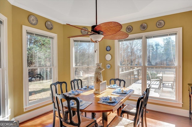 dining space with ceiling fan, a healthy amount of sunlight, and crown molding