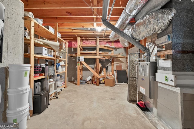 4225 Dunham Park, Flowery Branch, GA 30542 - view of unfinished below grade area