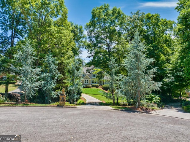 4225 Dunham Park, Flowery Branch, GA 30542 - view of asphalt road with curbs