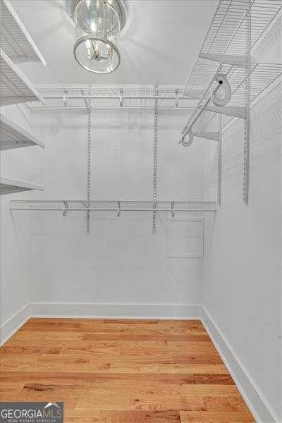 walk in closet with wood-type flooring