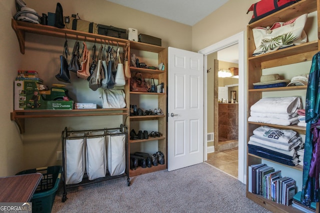 spacious closet featuring light colored carpet