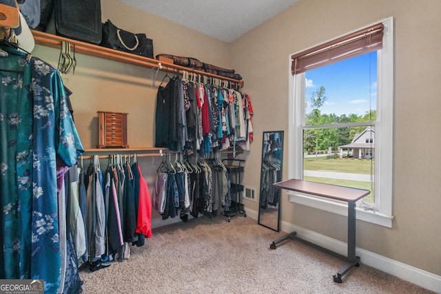 spacious closet featuring carpet floors