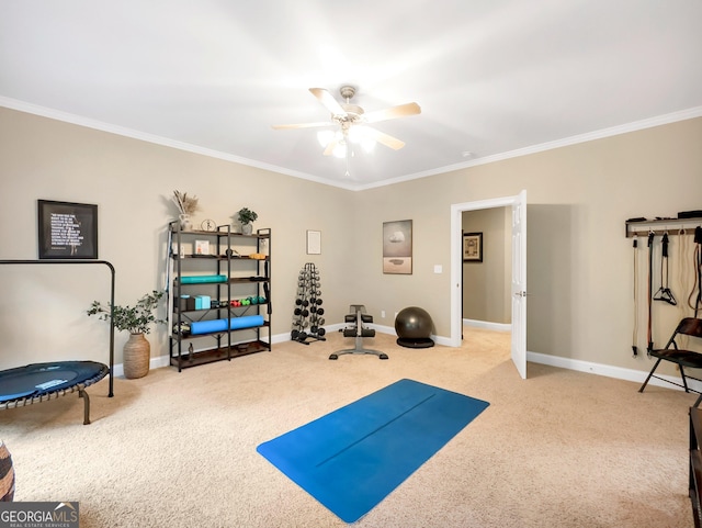 exercise area with ceiling fan, ornamental molding, and light colored carpet