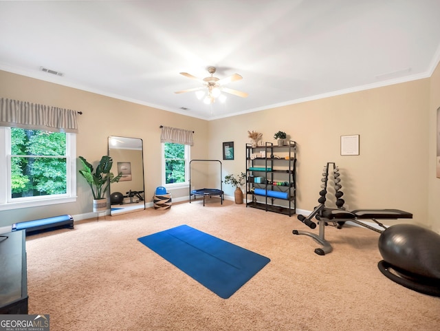 exercise area with carpet floors, ceiling fan, and crown molding