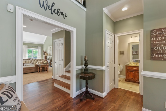 stairs featuring ornamental molding and hardwood / wood-style flooring