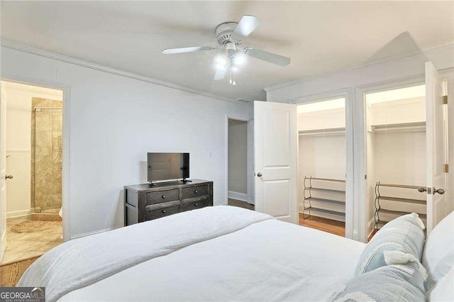 bedroom featuring a walk in closet, connected bathroom, a closet, ornamental molding, and ceiling fan