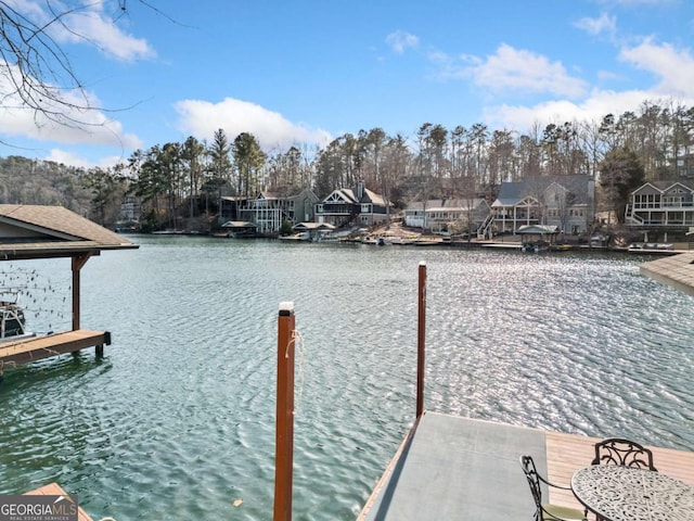 dock area with a water view