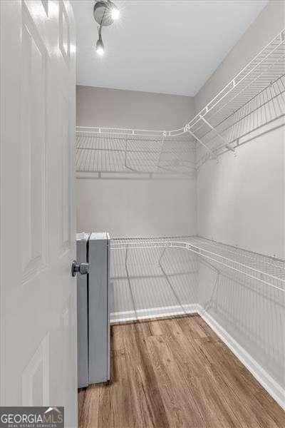 spacious closet with hardwood / wood-style floors