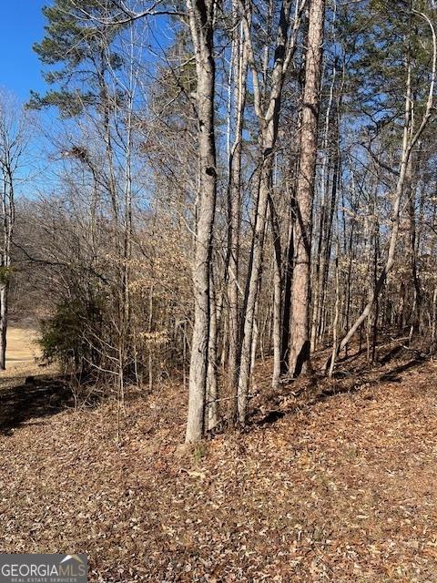 506 Chickasaw Dr, Westminster SC, 29693 land for sale