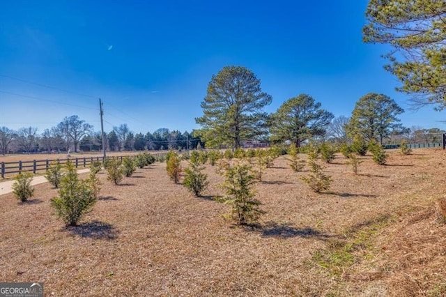 view of yard featuring a rural view