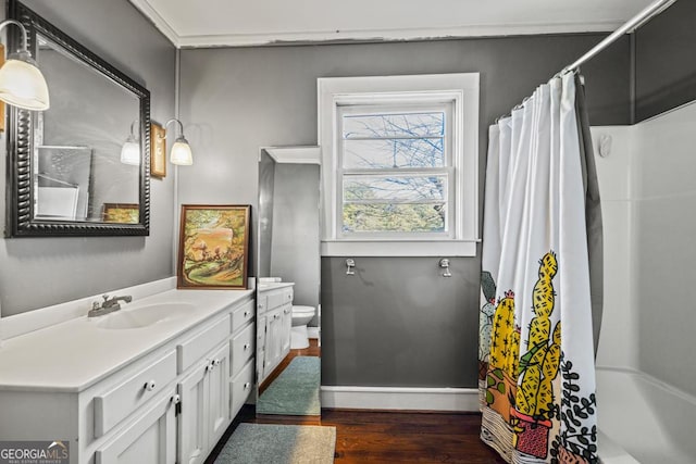 bathroom featuring vanity, toilet, and wood-type flooring