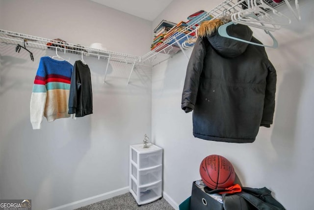 walk in closet featuring carpet floors