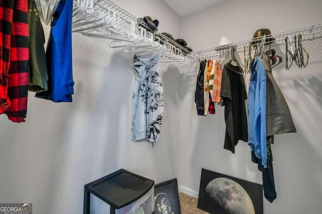 walk in closet with carpet floors