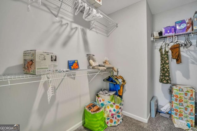 spacious closet featuring carpet flooring