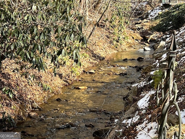 view of local wilderness with a water view