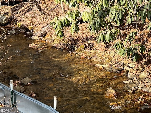 view of local wilderness