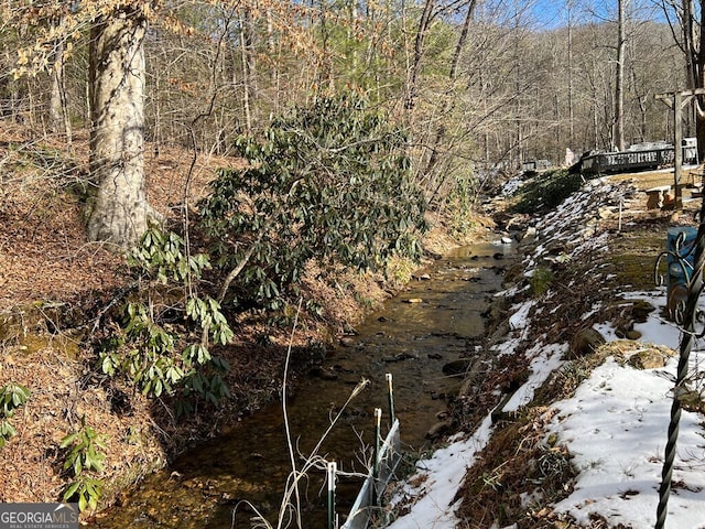 view of local wilderness