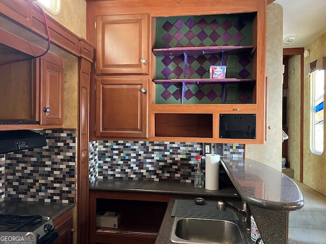 kitchen featuring sink and backsplash