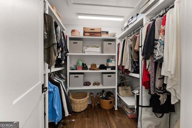 walk in closet featuring dark hardwood / wood-style flooring