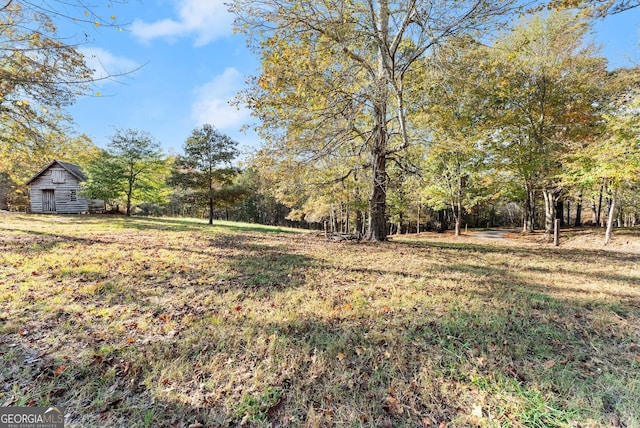 view of yard