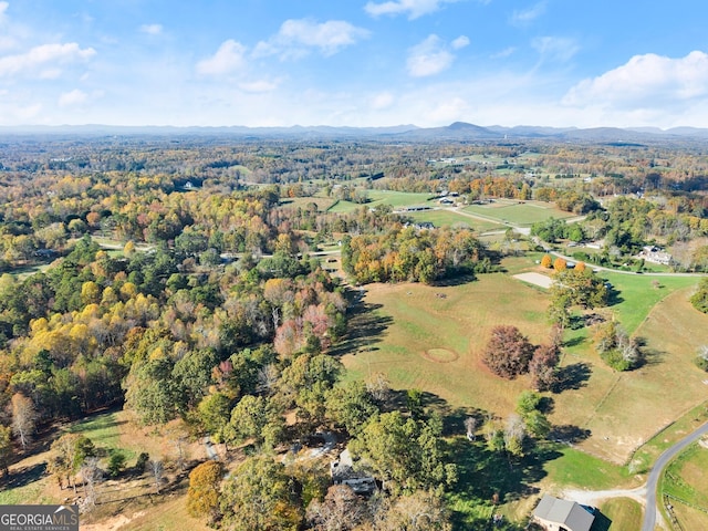 birds eye view of property with a mountain view