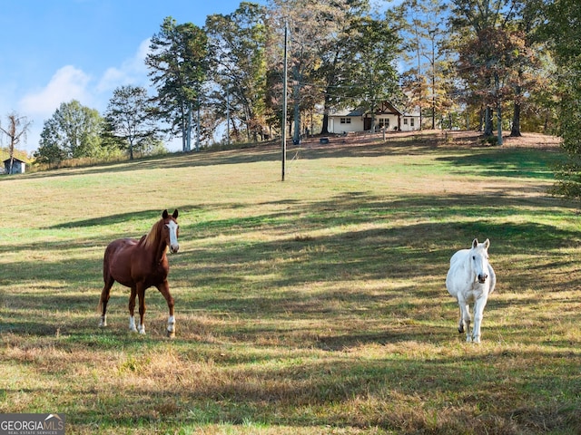 view of community with a rural view and a yard