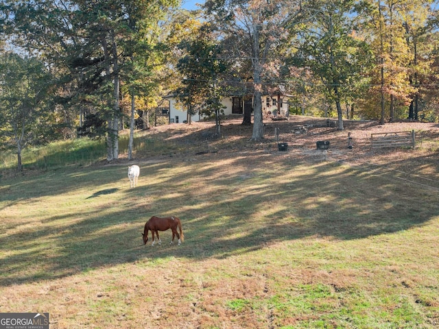 view of yard