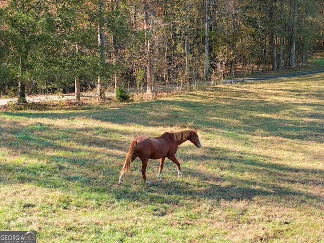 view of yard with a rural view