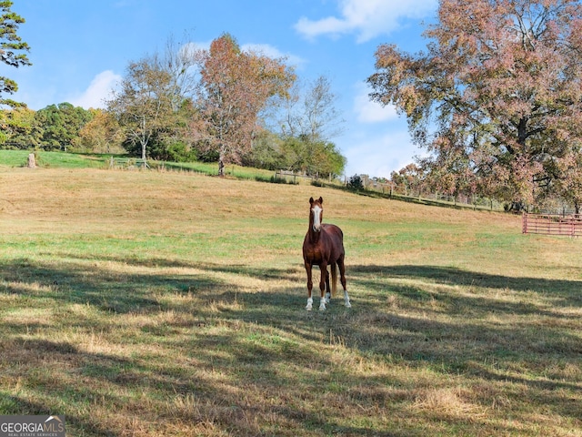 view of home's community featuring a rural view and a lawn