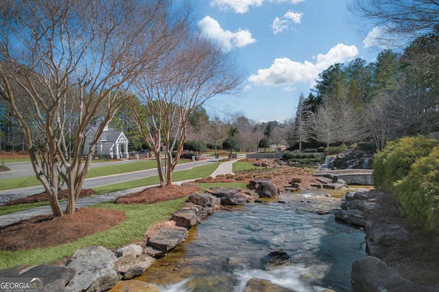 view of community with a lawn