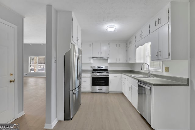 kitchen with sink, light hardwood / wood-style flooring, a textured ceiling, stainless steel appliances, and white cabinets