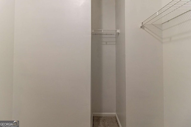 walk in closet with carpet flooring