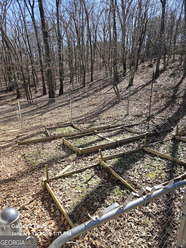 view of undeveloped land