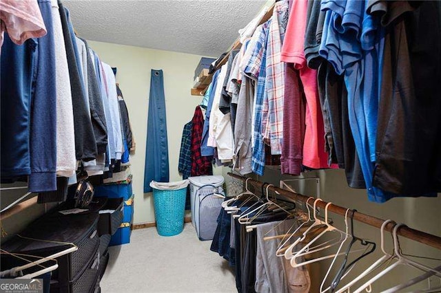 spacious closet featuring carpet flooring