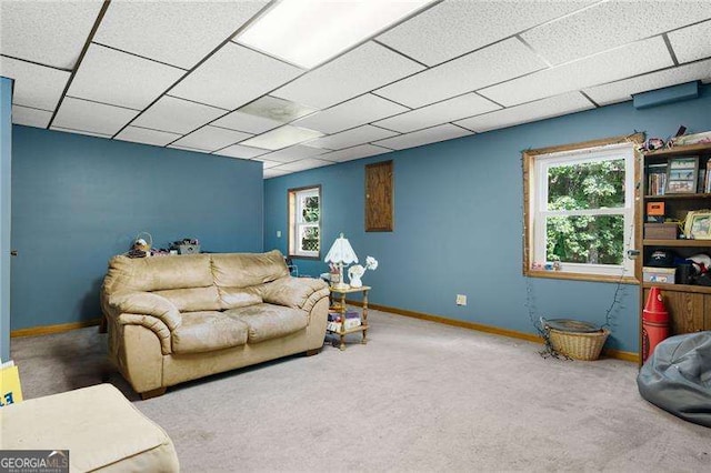 living room with a paneled ceiling and carpet flooring