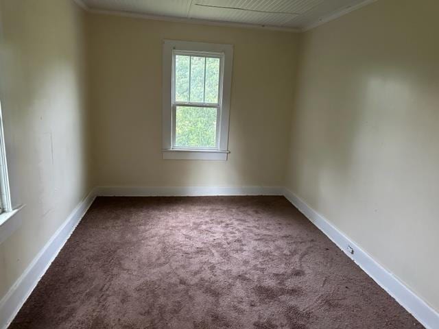 carpeted empty room with ornamental molding