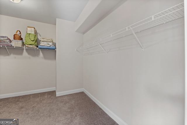 walk in closet featuring carpet flooring