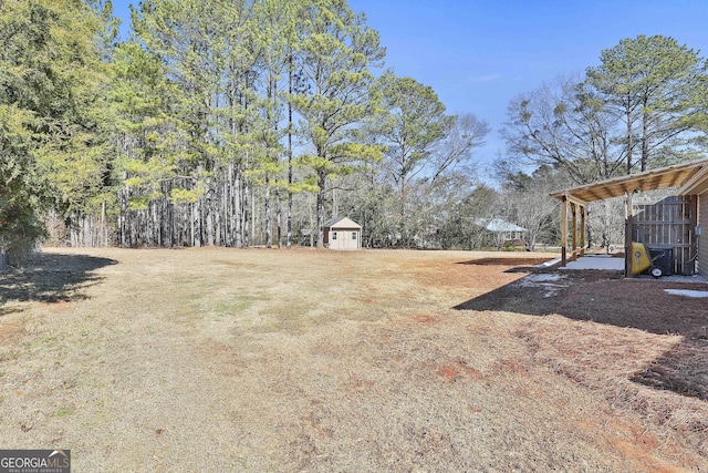 view of yard with a shed