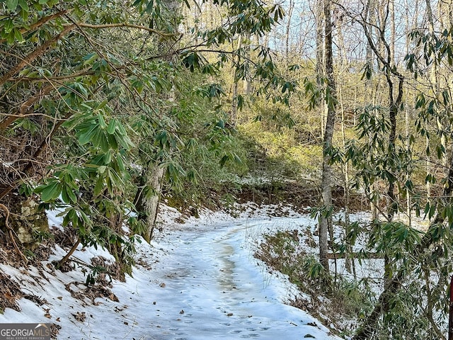 view of snowy landscape