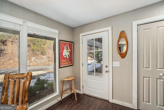 doorway featuring dark hardwood / wood-style flooring and a wealth of natural light