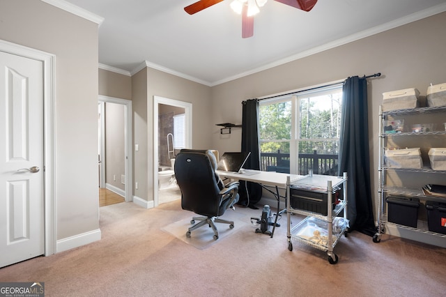 carpeted office featuring ceiling fan and ornamental molding